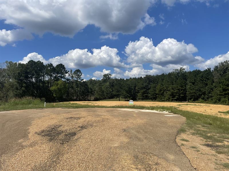 Beautiful Home Site : Brookhaven : Lincoln County : Mississippi