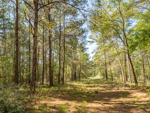 1.5 Acres in Walker County : Huntsville : Walker County : Texas