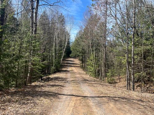 Wooded Parcel Near Squirrel Lake : Minocqua : Oneida County : Wisconsin