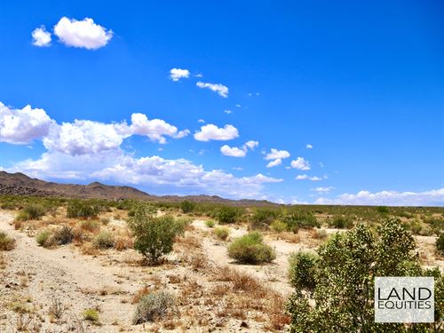 Secluded Location with Great Views : Joshua Tree : San Bernardino County : California