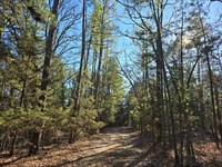 Shorty Creek 5 Acres : Moyers : Pushmataha County : Oklahoma