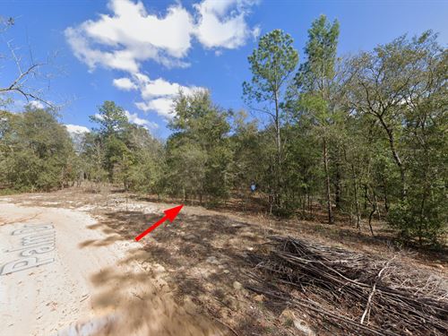Lot in Interlachen, FL $197/Mo : Interlachen : Putnam County : Florida