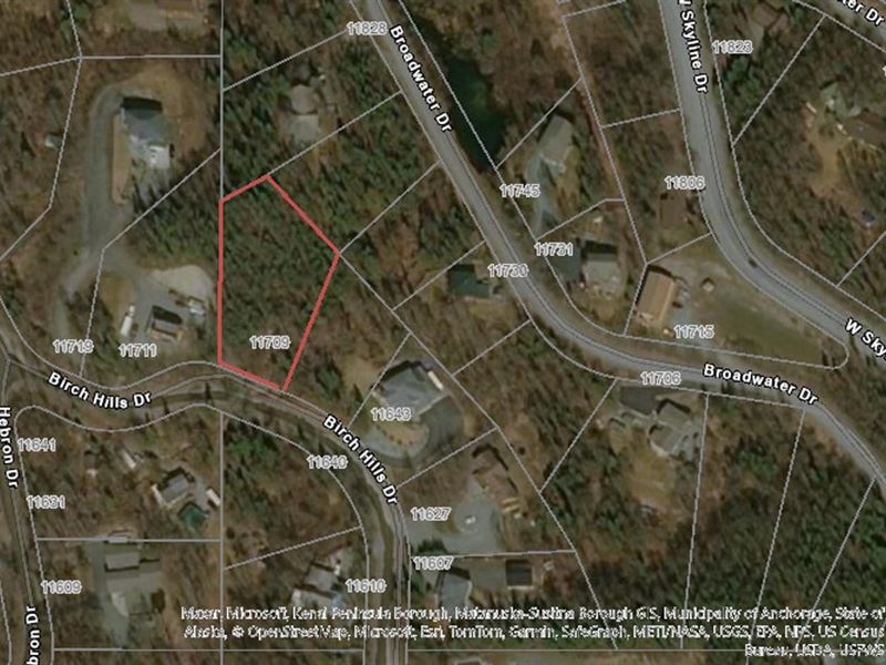 Nicely Treed, Buildable Lot with PA : Eagle River : Anchorage Borough : Alaska