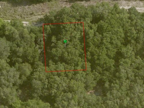 Affordable .23 Acres : Inverness : Citrus County : Florida