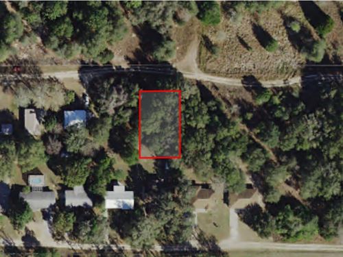 Affordable Inverness Opportunity : Inverness : Citrus County : Florida