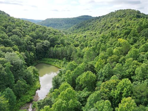 Brammer Hill Ridge : Monticello : Wayne County : Kentucky