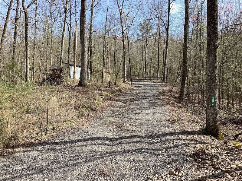 18.09 Acres in Polk County, AR : Mena : Polk County : Arkansas