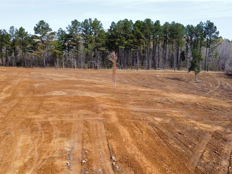 Seven 5 Acre Lot Available in Marsh : Waterford : Marshall County : Mississippi