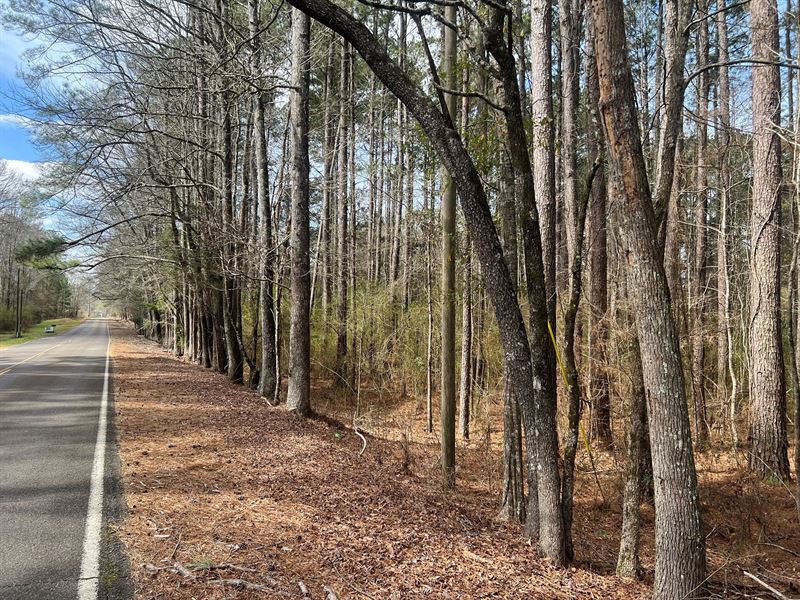 17.54 Acres in Amite County, MS : Smithdale : Amite County : Mississippi