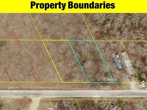 .16 Acres of Peaceful Ozark Beauty : Kissee Mills : Taney County : Missouri