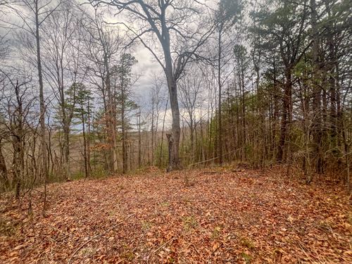 Ponetown Rd Lot 2 8 : Ray : Vinton County : Ohio