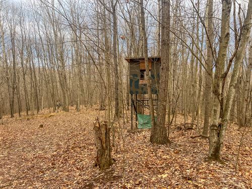 Ponetown Rd Lot 4, 12.7 Acres : Ray : Vinton County : Ohio