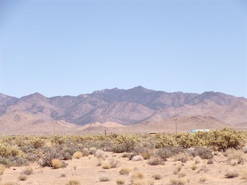 Power & Water Across Street : Dolan Springs : Mohave County : Arizona