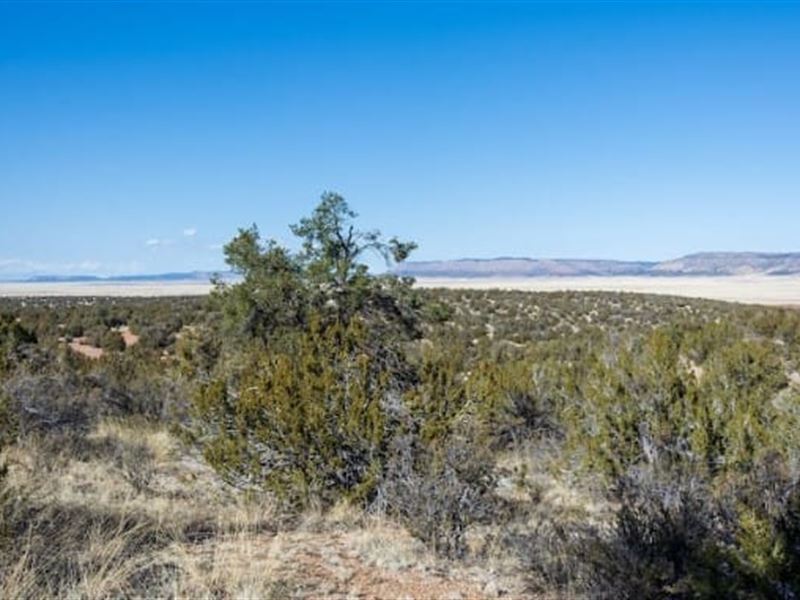 Perfect Spot for Desert Getaway : Seligman : Yavapai County : Arizona