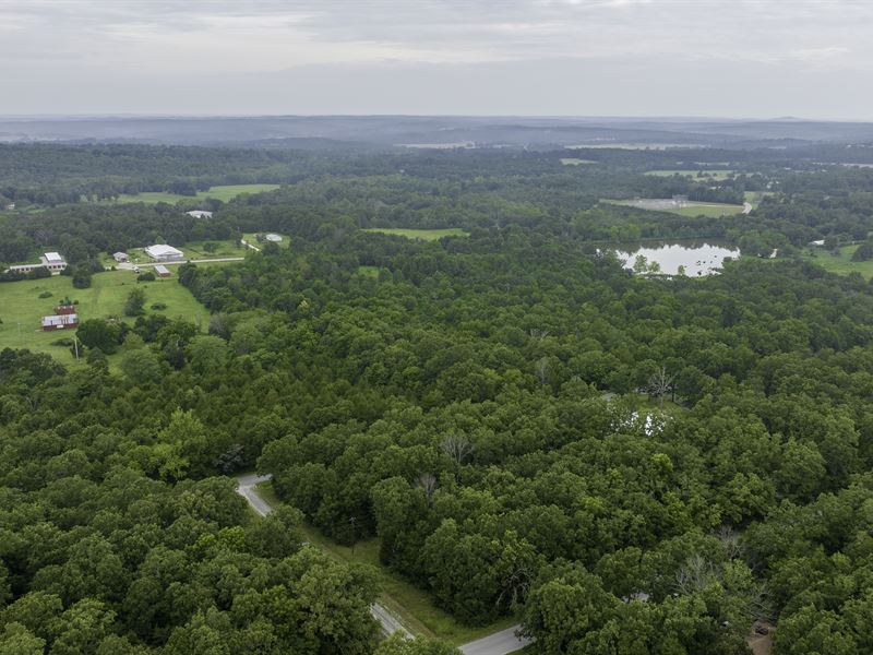 Corner Lot with Power on Site : Horseshoe Bend : Izard County : Arkansas