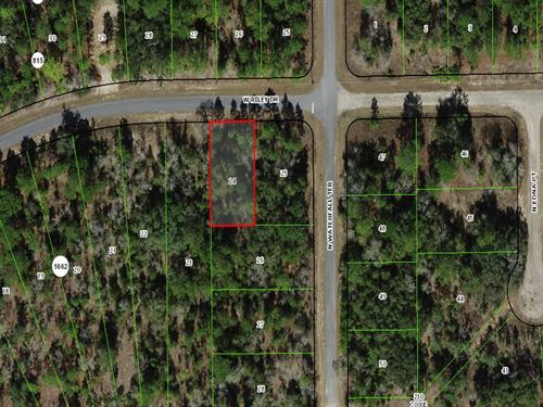 Citrus Springs Lot, Public H2o : Citrus Springs : Citrus County : Florida