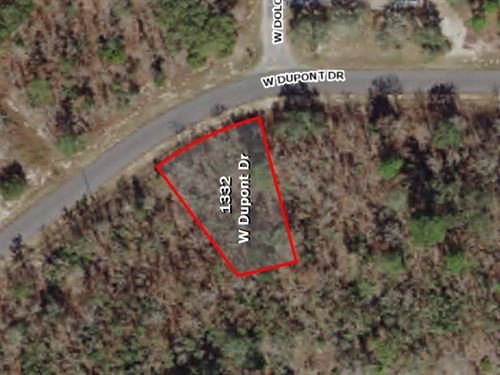 Lovely Florida Lot in Citrus Spring : Citrus Springs : Citrus County : Florida