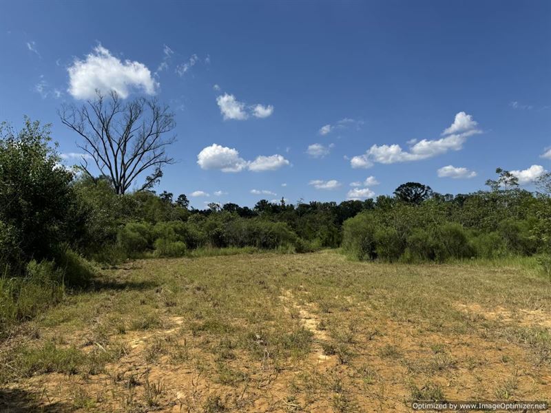 Great Private Homesites : Brookhaven : Lincoln County : Mississippi