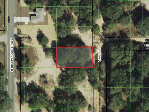 Florida Fun Awaits on Inverness Lot : Inverness : Citrus County : Florida