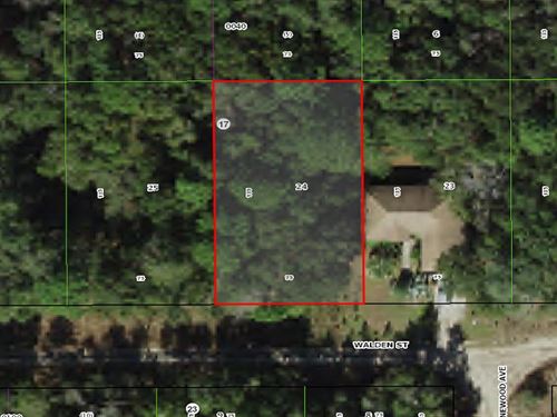 Affordable Inverness Lot : Inverness : Citrus County : Florida