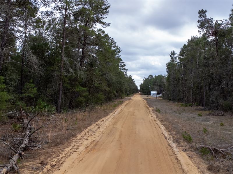 Opportunity Awaits in Interlachen : Interlachen : Putnam County : Florida