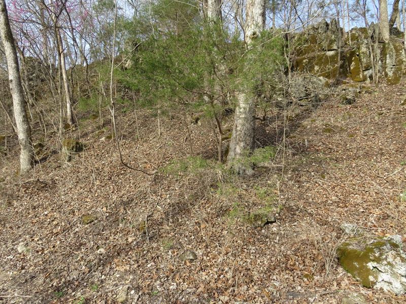 8 Acres for Sale in Reynolds Co : Ellington : Reynolds County : Missouri