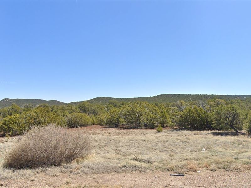 1.19 Ac That Screams Future Value : Vernon : Apache County : Arizona
