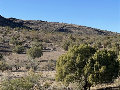 2.5 Acres Backing Public Land : Golden Valley : Mohave County : Arizona