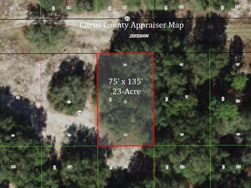 Fun & Sun Lot in Citrus County : Inverness : Citrus County : Florida