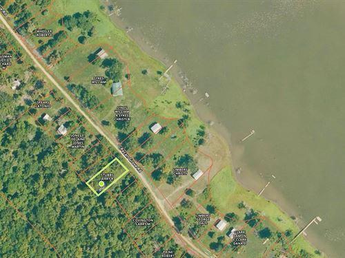 .46 Pecan Grove, Woodville, MS : Woodville : Wilkinson County : Mississippi