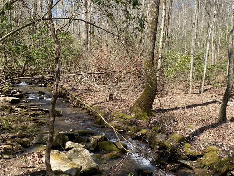 Creek, Private, Wooded and at End : Crossville : Bledsoe County : Tennessee