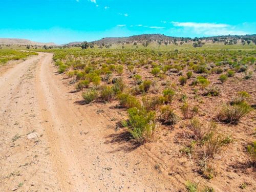 Need an Excuse to Buy That 4X4 : Meadview : Mohave County : Arizona