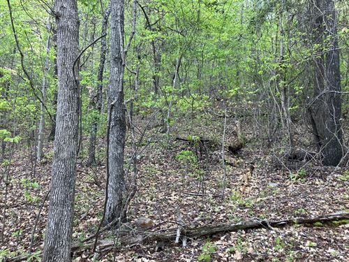 Anniston Tract : Anniston : Calhoun County : Alabama