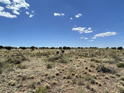 Peace and Privacy : Williams : Coconino County : Arizona