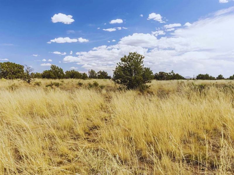 Breathtaking Views as Low as $125/M : Williams : Coconino County : Arizona