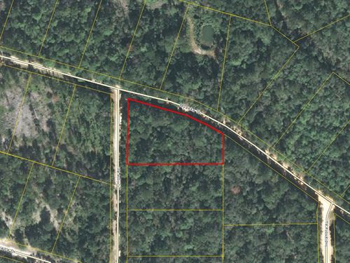 Spacious Corner Lot Near Lakes : Marianna : Jackson County : Florida