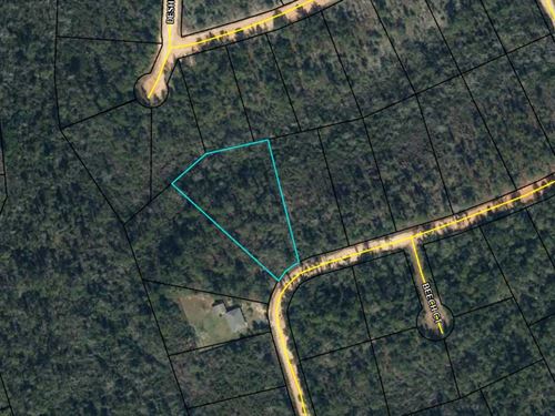 Oversized Lot in Lake Community : Alford : Jackson County : Florida