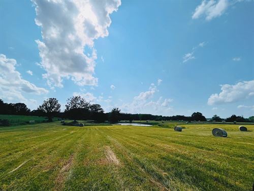 Missouri Hobby Farm for Sale : Mountain Grove : Wright County : Missouri