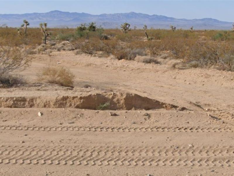 1.07 Acres for $95/Mo : Yucca : Mohave County : Arizona