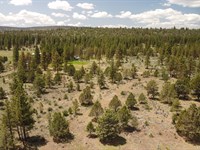 Elegant in Bonanza, Your Retirement : Bonanza : Klamath County : Oregon