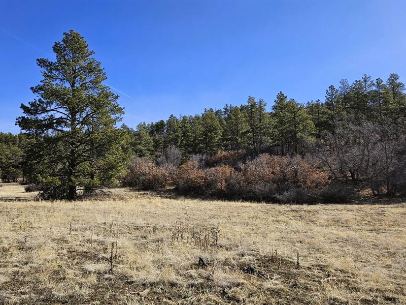 338 Rancho LA Garita Filing 10, We : Weston : Las Animas County : Colorado