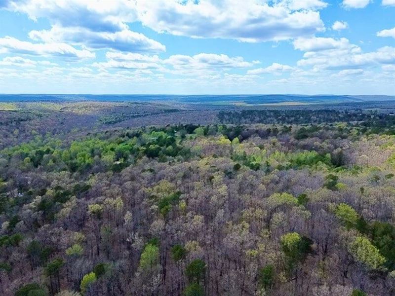 Stone Co 12 : Mountain View : Stone County : Arkansas