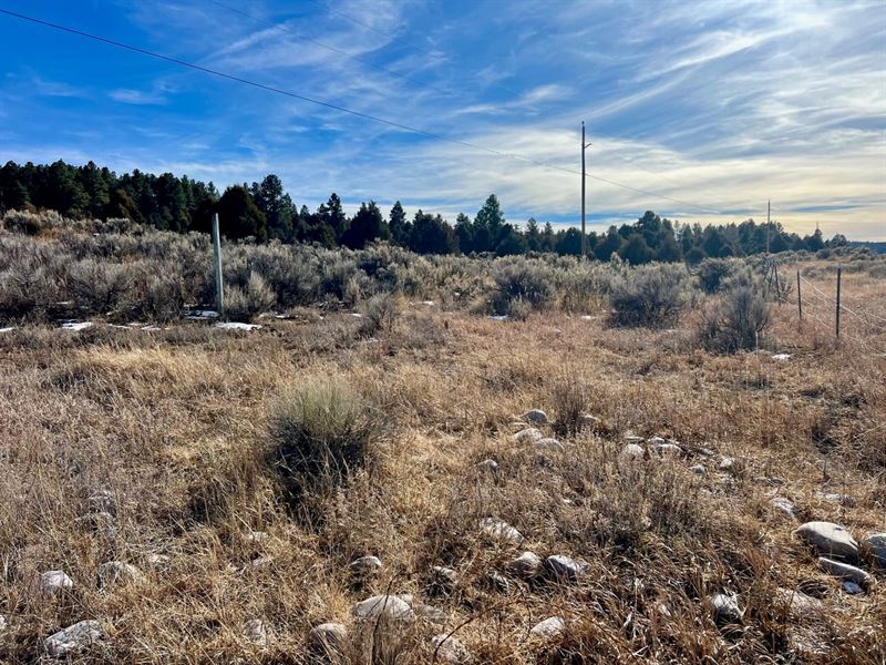 2.86 Acres in Ensenada, New Mexico : Ensenada : Rio Arriba County : New Mexico