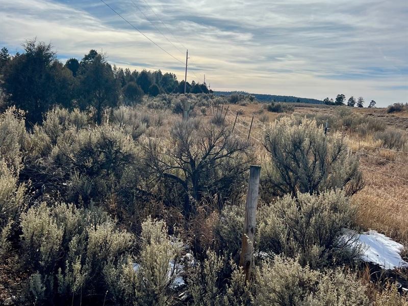 2.86 Acres in Ensenada, New Mexico : Ensenada : Rio Arriba County : New Mexico