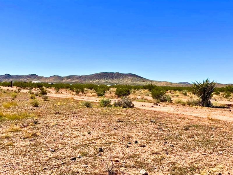 360 Views Near Public Lands $125/Mo : Dolan Springs : Mohave County : Arizona