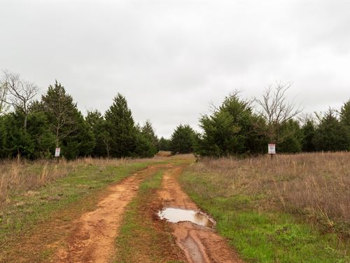 $999 Down and no Credit Check Land : Bearden : Okfuskee County : Oklahoma