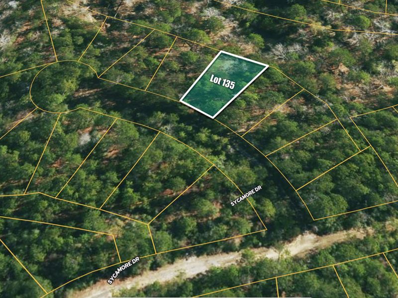 .21 Acre Brookeland, TX : Browndell : Jasper County : Texas