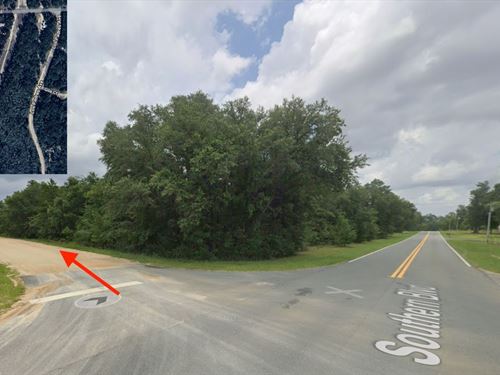 Sunshine State Panhandle, $400/Mo : Alford : Jackson County : Florida