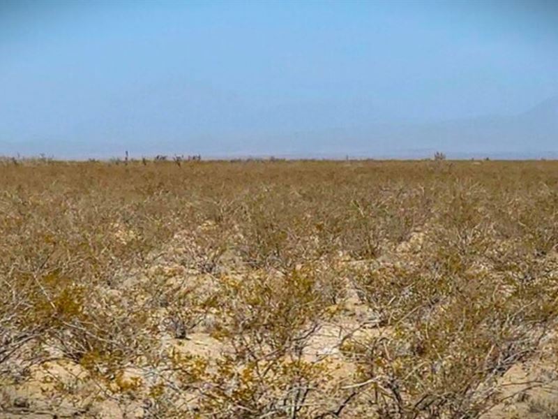 Camp, Hike, Explore 20 Ac Basecamp : Sierra Blanca : Hudspeth County : Texas