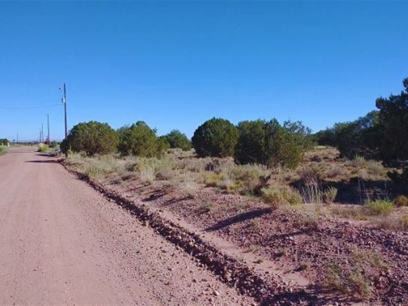 Business & Home $375-$550/Mo : Snowflake : Navajo County : Arizona